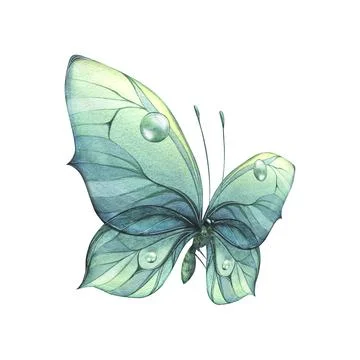 A blue, turquoise butterfly with a beautiful pattern on its wings, flying Illustrazione stock