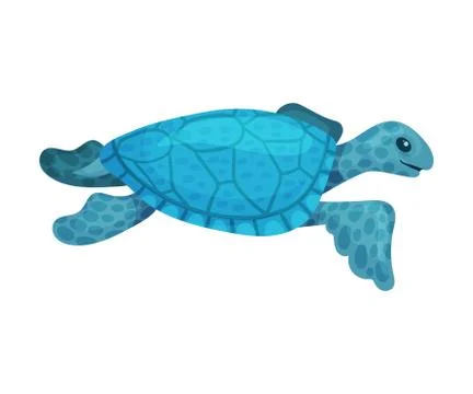Blue turtle. Vector illustration on a white background. Stock Illustration