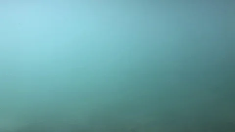 Blue underwater Video stock 98448986