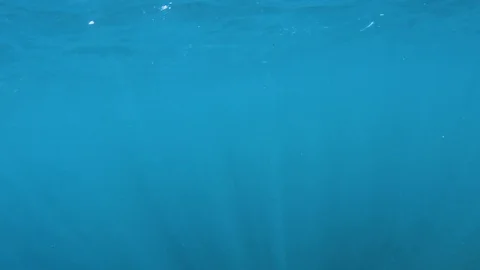 Blue underwater showing surface Stock Footage 79551710