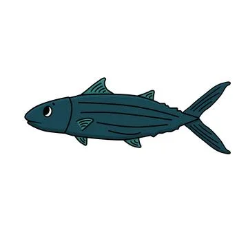 Blue vector cartoon tuna or skipjack fish. Outline Animal is isolated on whit Stock Illustration