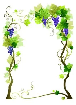 Blue vineyard frame Stock Illustration