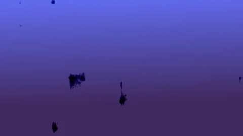 Blue violet background with moving streamlined shapes, abstract background Stock Footage 308869737