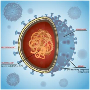 Blue virus cells or bacteria on background. Vector illustration Stock Illustration