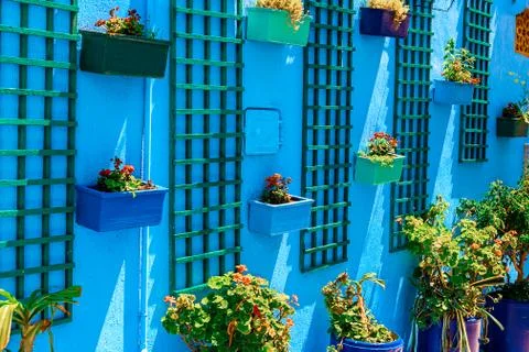 On the blue wall hang pots with different plants, Kasbah des Oudaias, Rabat,  Stock Photos