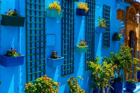 On the blue wall hang pots with different plants, Kasbah des Oudaias, Rabat,  Stock Photos