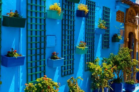 On the blue wall hang pots with different plants, Kasbah des Oudaias, Rabat,  Stock Photos