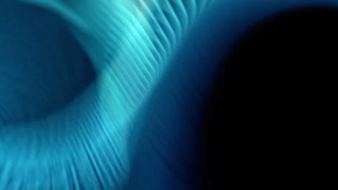 Blue wallpapers for Abstract shows Stock Footage 249438337