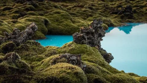 Blue water and green moss in the Blue Lagoon Stock Photos