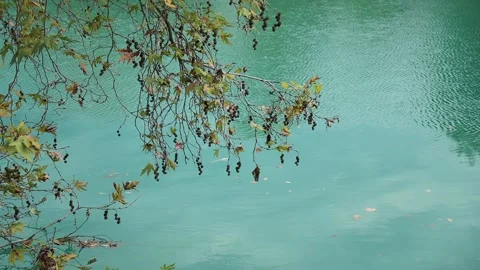 Blue Water Background Stock Footage 142457400