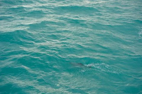 Blue water background Foto stock