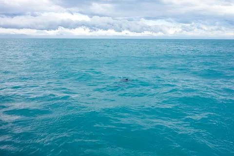Blue water background Foto stock