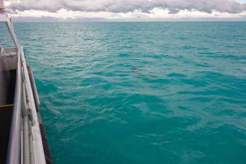 Blue water background Foto stock