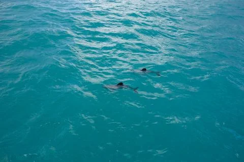 Blue water background Foto stock