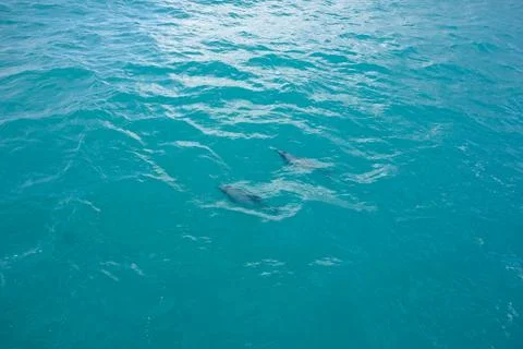 Blue water background Foto stock