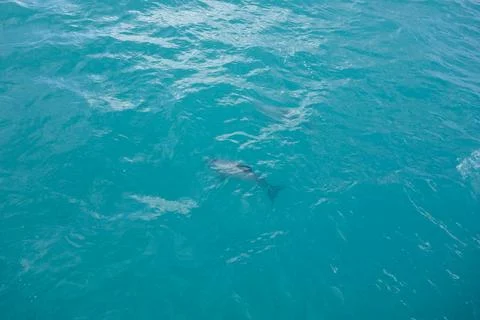 Blue water background Stock Photos