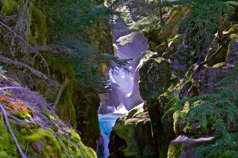 Blue Water Flows Down Mountain Stream Through Mossy Rocks and Pines, with Sun Фото