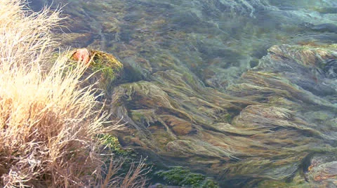 Blue water flows in a mountain stream in a beautiful abstract patterns. Video stock 27002856