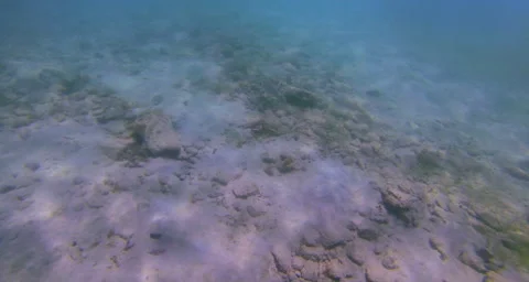 Blue water Stock Footage 42798996