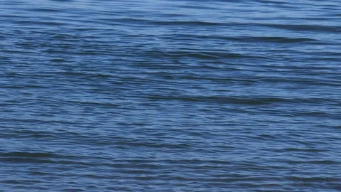 Blue water Stock Footage 75277865