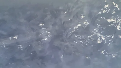 Blue water Stock-Footage 118216922