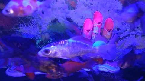 Blue water Video stock 211913803
