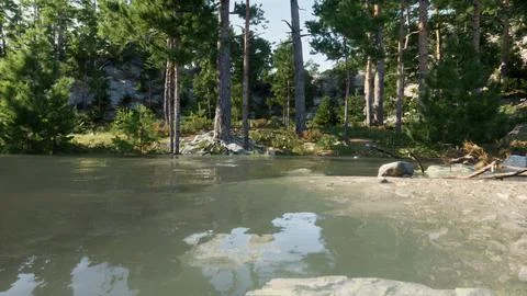 Blue water in a forest lake with pine trees Stock Illustration