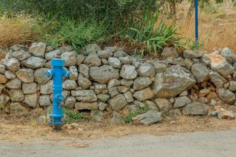 Blue water hydrant at road side Foto stock