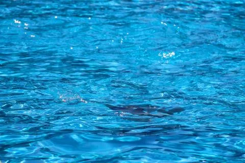 Blue water in modern sweeming pool Stock Photos