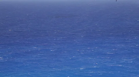 Blue Water in the Pacific Ocean Stock Footage 50303620