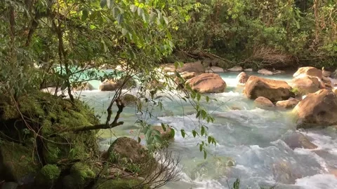 Blue Water Rainforest River 01 Video stock 282832676