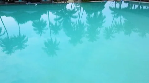 In blue water reflected a lot of palms. Close up view. Stock Footage 82867858