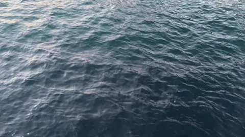 Blue water surface Stock Footage 322001418