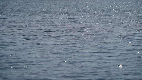 Blue water surface with ripple, sun glares on lake at sunny day in slow motion Vidéo 140819079