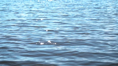 Blue water surface with ripple, sun glares on lake at sunny day Stock-Footage 143897691