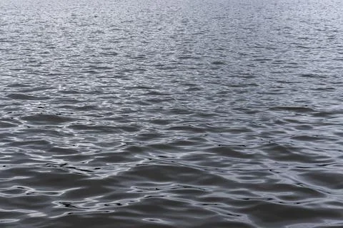 Blue water surface with soft waves. blue waves - water surface on sea or lake. Foto stock