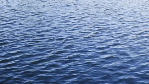 Blue water surface texture with gentle ripples, abstract natural background Stock Footage 333867197