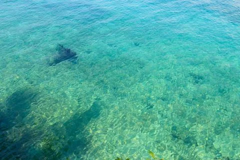 Blue water texture background. Surface of sea or ocean Stock Photos