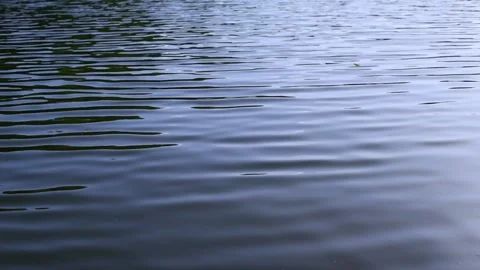 Blue water waves on lake surface close up Video stock 132883828
