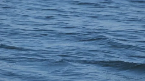 Blue water waves surface, beautiful background with copy space. 스톡 동영상 137270230