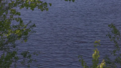 Blue water waves surface, beautiful background with copy space. Fresh drinkin Stock Footage 196183973