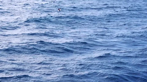 Blue water waves surface, beautiful background Stock Footage 262844548