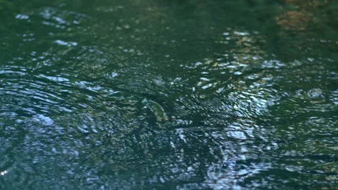 Blue water waves surface close up in swimming pool, background with copy space. Video stock 252457057