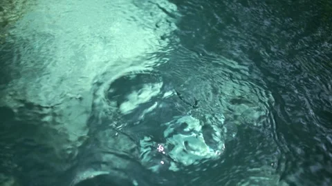 Blue water waves surface close up in swimming pool, background with copy space. Stock Footage 253705095