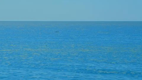 Blue Water Waves Surface. Sun Glare On Blue Water View Summer. Stock Photos