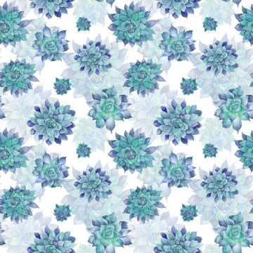 Blue Watercolor Succulent Pattern Stock Illustration
