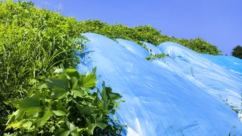 A blue waterproof sheet stretched over a slope, retaining soil after heavy rain Stock Footage 310028593