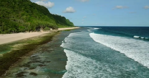 Blue wave crashes on the sandy beach with jungle in Bali Stock Footage 274298248