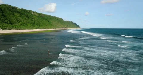 Blue wave crashes on the sandy beach with jungle in Bali Stock Footage 274523510