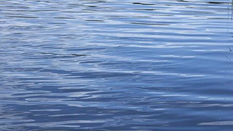 Blue waves abstract background texture. Stock Photos